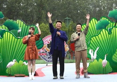 台风苏拉最新爆料视频下载,视频揭秘超强台风的威力与影响